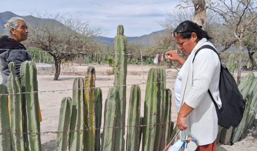 1-WhatsApp-Image-2025-02-18-at-3.58.11-PM